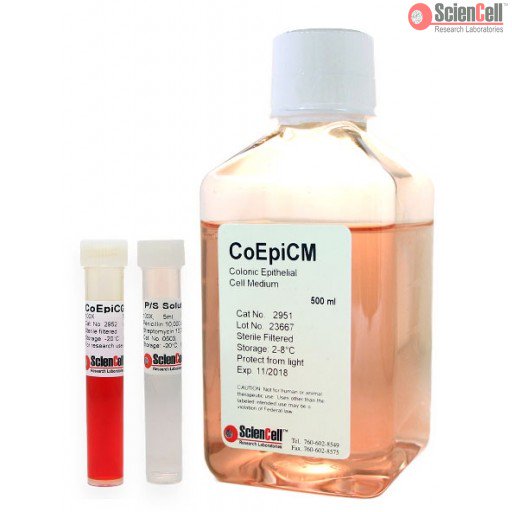ScienCell 结肠上皮细胞培养基CoEpiCM(货号2951)