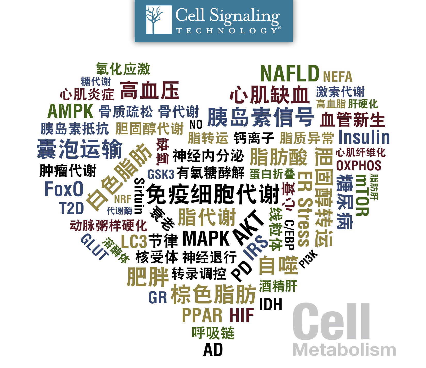 CST 代谢大促，助你玩转课题