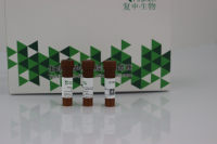 TRITC Phalloidin 罗丹明标记鬼笔环肽