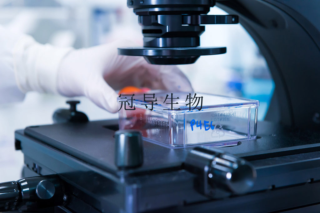 细胞实验室(27) agency