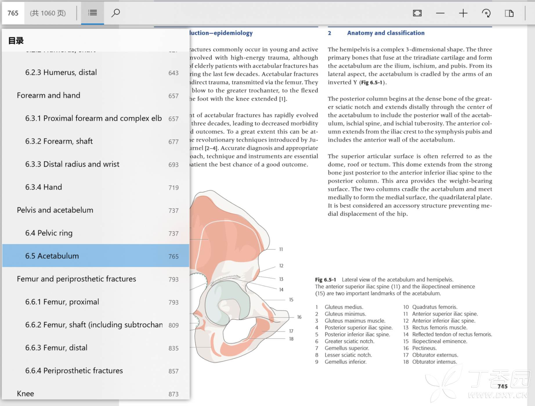 AO Principles Of Fracture Management,3Edition（骨折治疗的AO原则 第3版）全高清带书签 - 骨科 ...