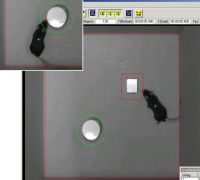 小鼠新物体识别箱系统