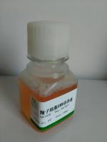 笃玛 冻干羊抗人APO-B血清  产品价格