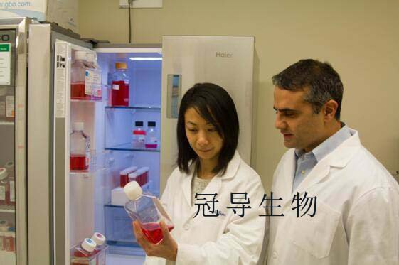 细胞实验室(1) agency