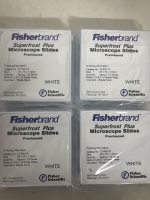 Fisherbrand防脱载玻片12-550-15现货19121878899上海睿安生物