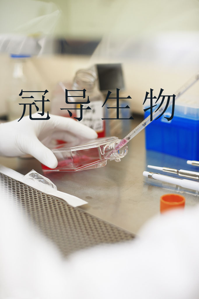 细胞实验室(10) agency