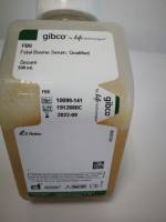 澳洲胎牛血清Gibco货号10099-141C上海睿安生物19121878899