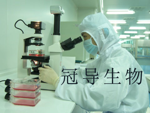 细胞实验室(4) agency