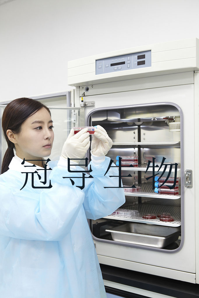 细胞实验室(31) agency