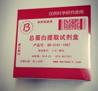 蛋白提取,蛋白定量,Western Blot全线产品特价促销啦