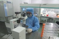 专业提供高品质原代细胞、细胞株/系、iPS细胞产品，及各种技术外包服务