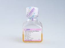 成人骨髓间质干细胞无蛋白非程序冻存液