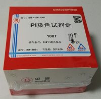 细胞凋亡-DAPI染色试剂盒 (BestBio-贝博生物)