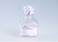 间质干细胞无蛋白非程序冻存液