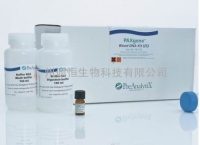Qiagen761133 PAXgene Blood DNA Kit/Qiagen全血DNA纯化试剂盒
