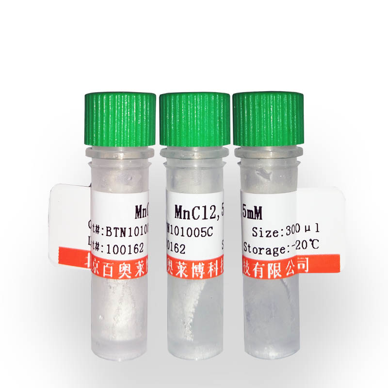 HIV-1抑制剂(BMS-378806)