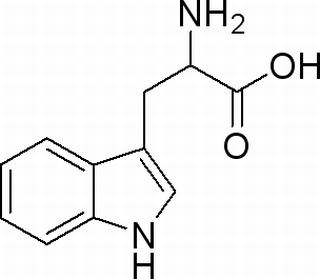 DL-色氨酸(54-12-6)分析标准品,HPLC≥98%