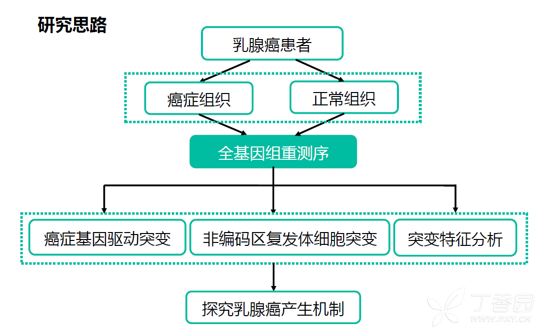 丁香园