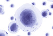 肿瘤细胞免疫治疗：T 细胞回输越多越好吗？