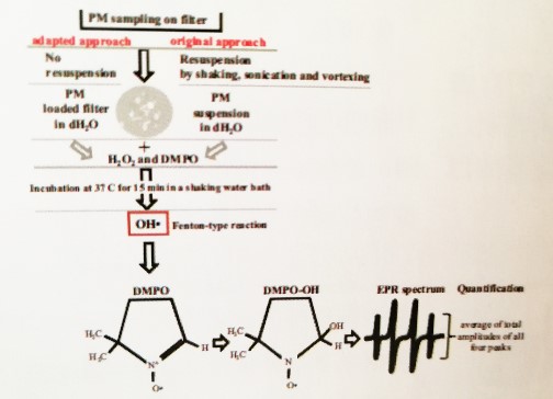 电子顺磁（自旋）共振波谱仪（EPR/ESR）在双亲性聚合物疏水性研究中的应用
