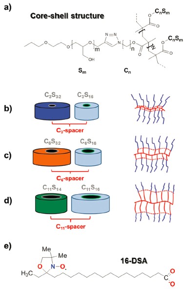 电子顺磁（自旋）共振波谱仪（EPR/ESR）在双亲性聚合物疏水性研究中的应用