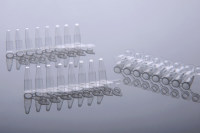 NEST 0.2mL带盖PCR八联管（编号：404001）