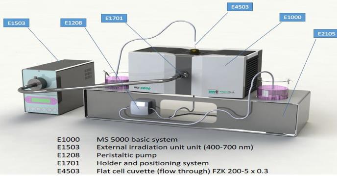 电子顺磁（自旋）共振波谱仪（EPR/ESR）在双亲性聚合物疏水性研究中的应用
