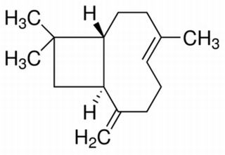 β-丁香烯(87-44-5)分析标准品,GC≥98%（sum of enantiomers）