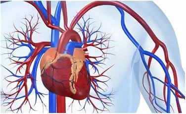 听美国FDA专家介绍CiPA 及人源心肌细胞 (hPSC-CMs)在药物心血管系统安全性评价中的作用