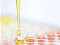 化合物细胞毒性试验-CCK8