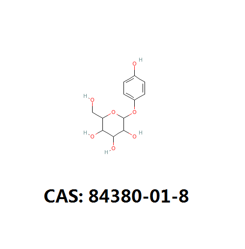 alpha-熊果苷84380-01-8