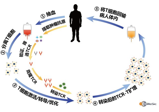 微信图片_20180828065308.jpg