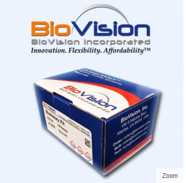 Nuclear/Cytosol Fractionation Kit(蛋白提取试剂盒)