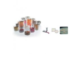 赛多利斯 干燥型培养基垫