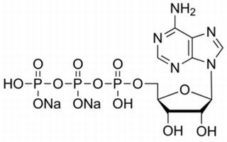 5-腺苷三磷酸二钠盐(987-65-5)分析标准品,HPLC≥98%