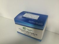 猪瘟病毒单重荧光PCR检测试剂盒