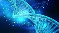 DNA甲基化检测（MSP）