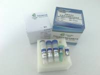 物种鉴定类PCR检测试剂盒