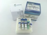 荧光PCR检测产品-食源性致病原