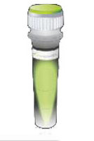 KAPA文库定量试剂盒