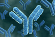 实时定量 PCR 分析服务
