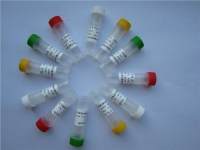 α2巨球蛋白样蛋白1抗体 α2ML1