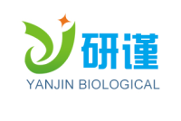 钙结合样蛋白/神经内分泌肿瘤标记物抗体
