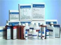 阶段特异性胚胎表面抗原-3抗体