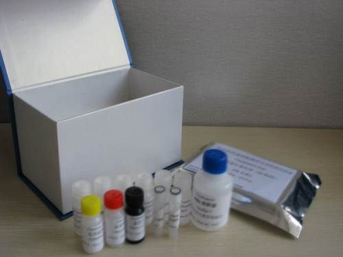 绵羊白介素6(IL-6)检测试剂盒	