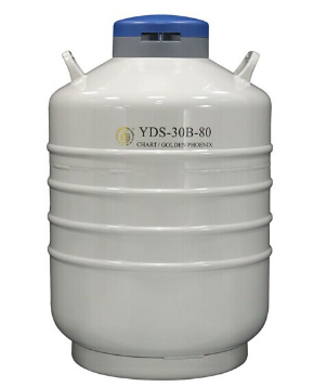 金凤液氮罐 YDS-30B-80