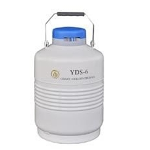 金凤液氮罐 YDS-6L