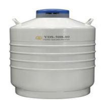 金凤液氮罐 YDS-50B-80