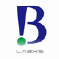  çº³ç±³è¯ç©è½½ä½æå»º