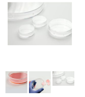 培养皿NunclonTM△,聚苯,带 盖,已灭菌,规格60*15mm每包/箱数, 10/400